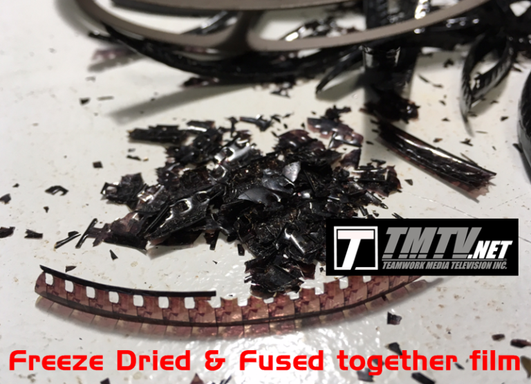 Brittle, freeze-dried” syndrome movie film - TMTV Photo ©